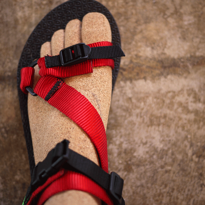 D.Roundy / River Sandal