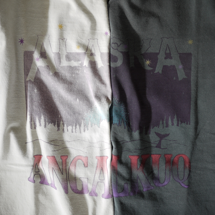 REMI RELIEF / Special Used T-Shirt (ALASKA)