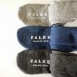 falke-walkie