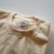 anatomica-pockettee