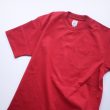 anatomica-pockettee
