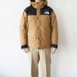 thenorthface-mountaiundownjkt