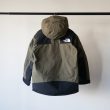 thenorthface-blkmountaiundownjkt