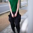 junmikami-variablepants