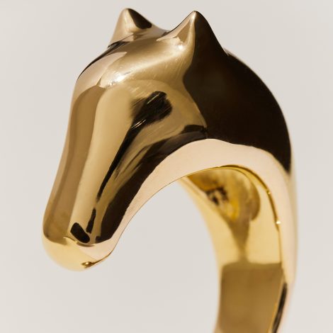 ralagan-goldhorsering