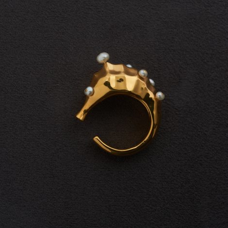 ralagan-goldbabydragonring