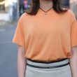 hakuji-cellulosecottonhspo