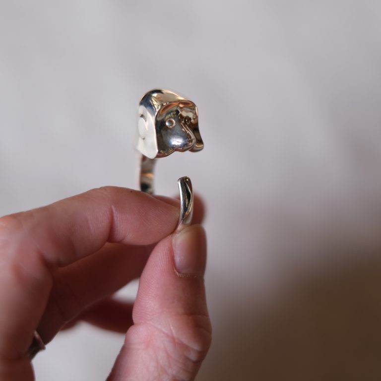 ralaganpopup-silvermonkyring