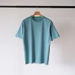 nonnative-dwellerssteeburano