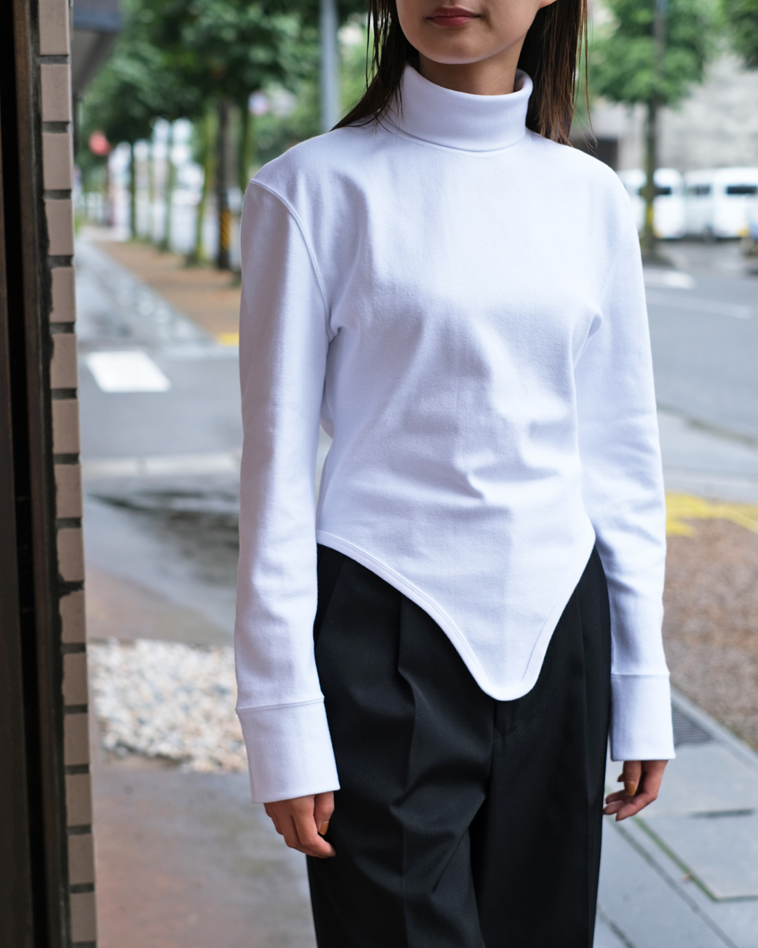 pan-zincribtailturtle