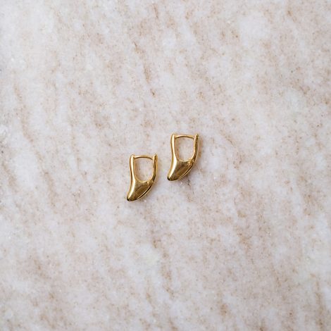 ralaganpre-goldtinymoonhoops