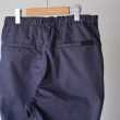 nonnative-walkersteaspantscngabardinepigmentdye
